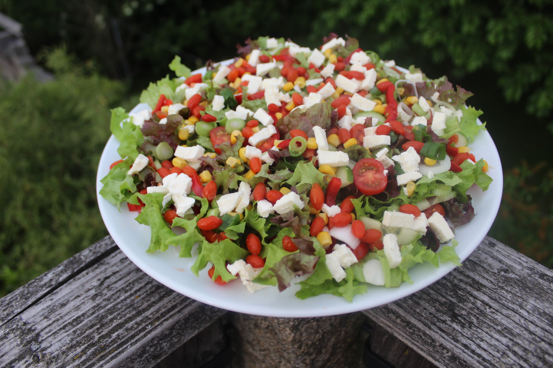 Gemischter Salat mit Goji Beeren